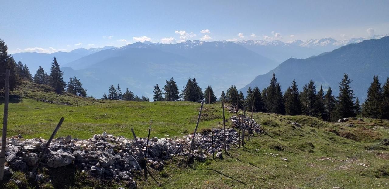 Ferienwohnungen Hochzillertal カルテンバッハ エクステリア 写真