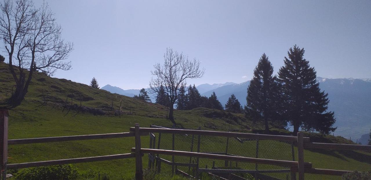 Ferienwohnungen Hochzillertal カルテンバッハ エクステリア 写真