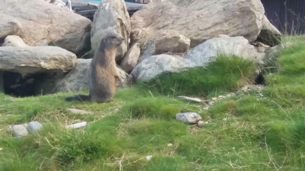 Ferienwohnungen Hochzillertal カルテンバッハ エクステリア 写真