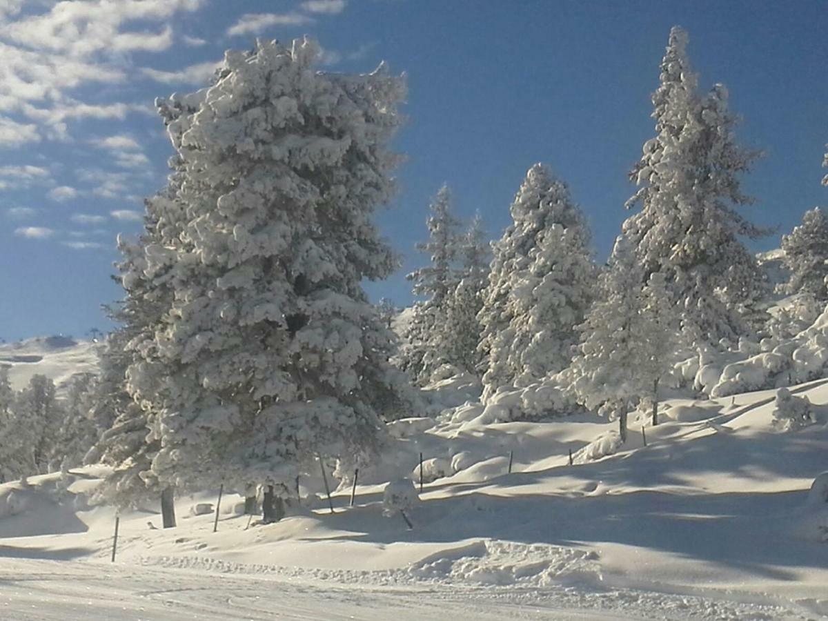 Ferienwohnungen Hochzillertal カルテンバッハ エクステリア 写真